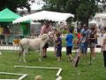 fete 2016 (241).jpg
